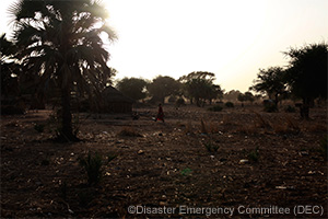【寄付を受付中】南スーダンの深刻な“食糧危機”に対応する緊急追加支援
