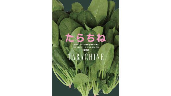 「緊急時における放射性物質の測定」食材編 表紙