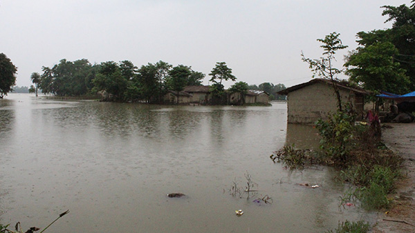 水没した住居と水田。Laxmipur Belbechuwa村Raj Dev自治体にて