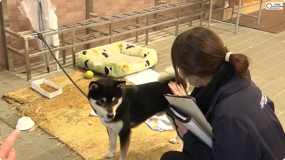 【能登半島地震】被災地報告：1月6日 七尾市 日本レスキュー協会