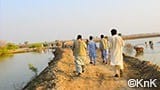 パキスタン水害被災者支援2022