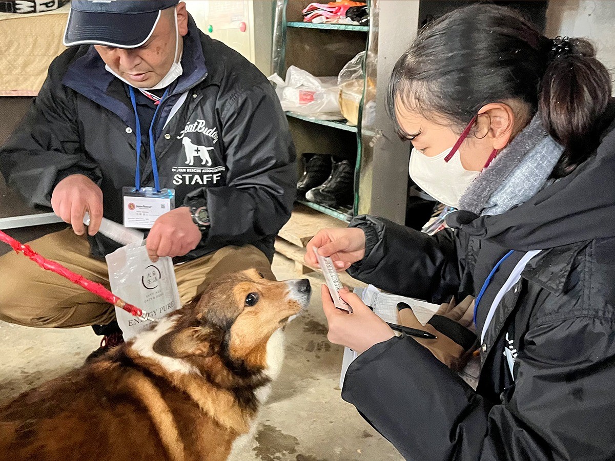 【能登半島地震】被災地報告：1月23日 輪島市町野町 日本レスキュー協会（JRA）