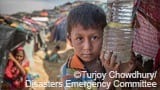 ミャンマー避難民人道支援（寄付受付中）