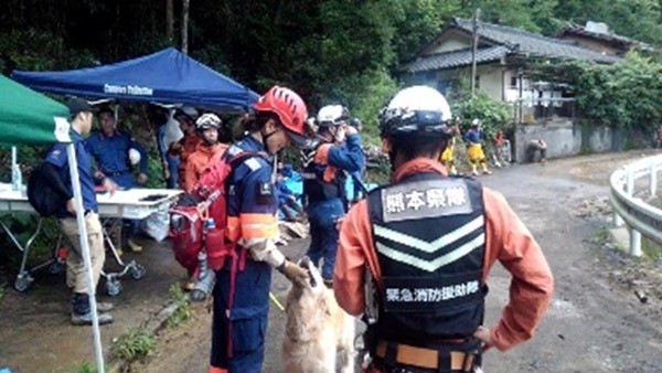 ARROWS災害救助犬チーム、熊本県 芦北町、津奈木町で捜索活動