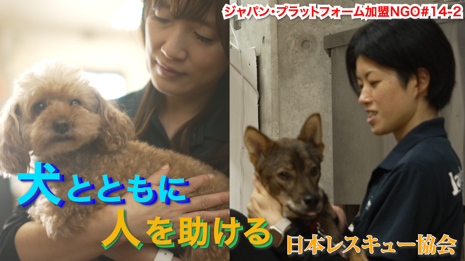 犬とともに人を助ける