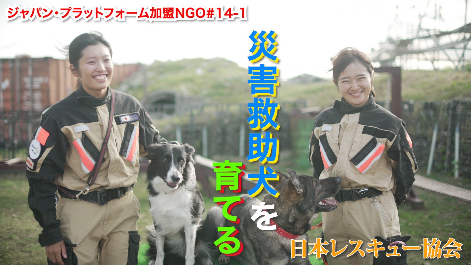 災害救助犬を育てる