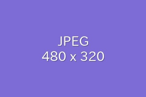 コラム：テンプレート