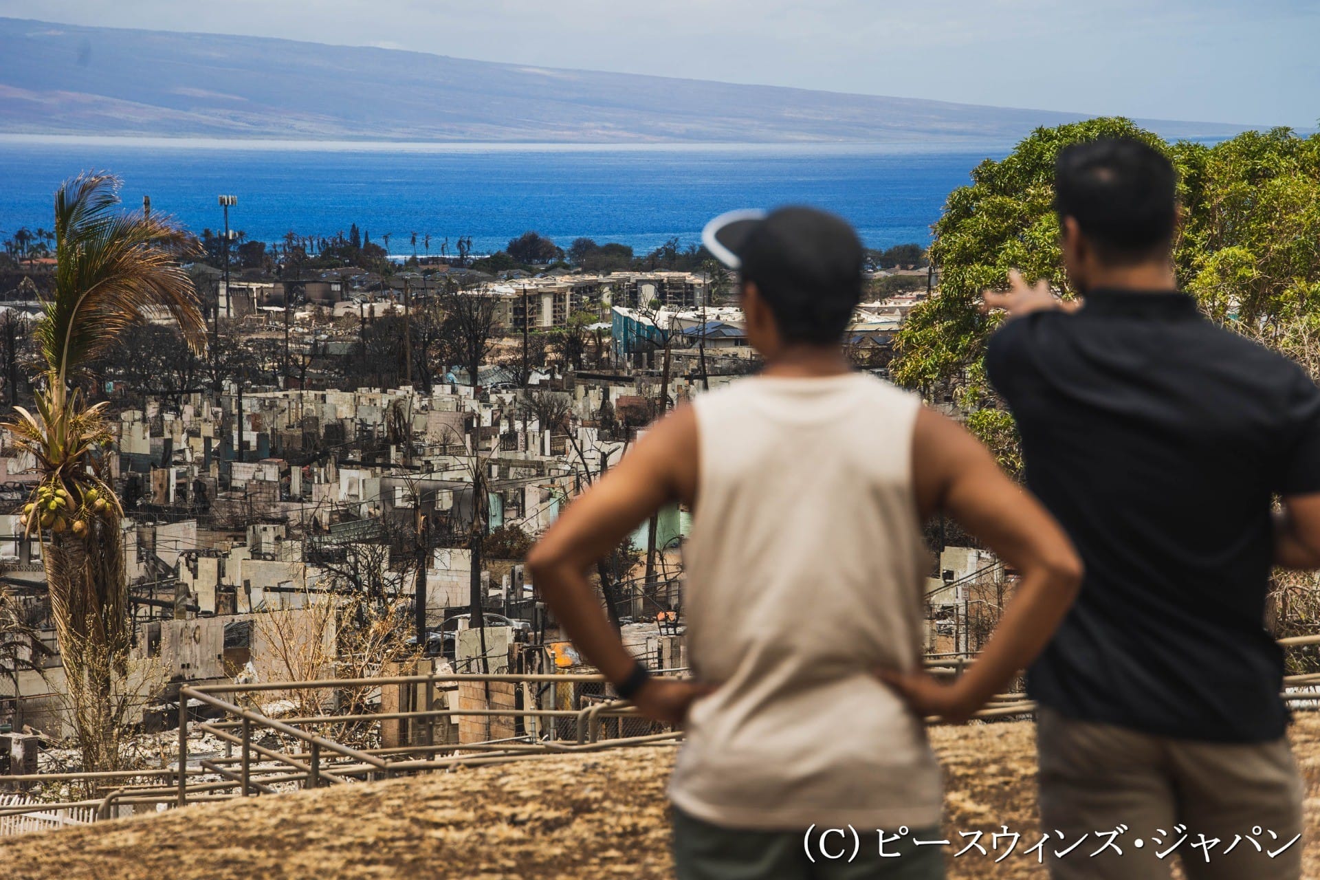 ハワイ・マウイ島大規模火災緊急支援（寄付受付中）｜国際協力NGO
