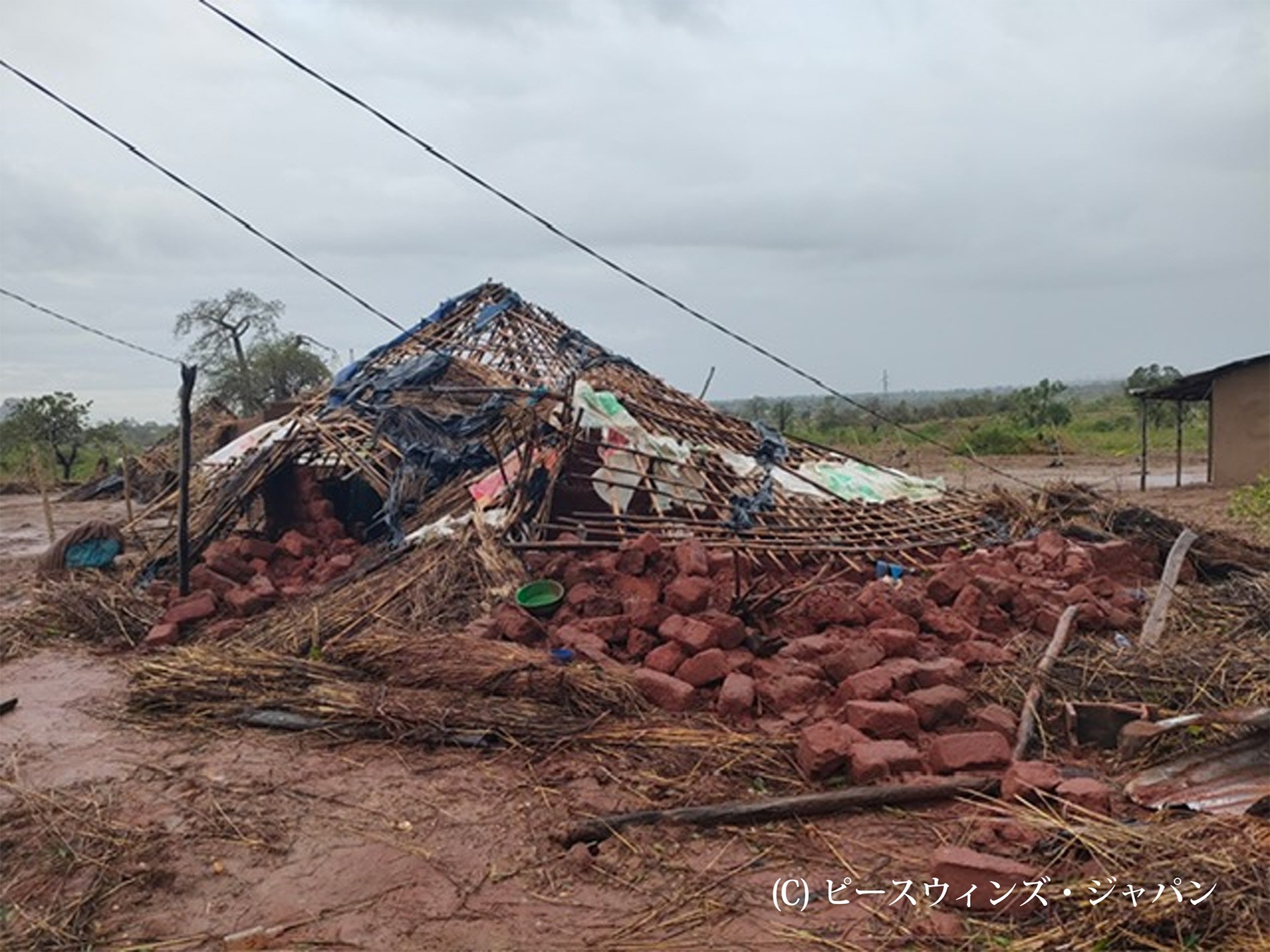 モザンビーク北部サイクロン・チド被災者支援