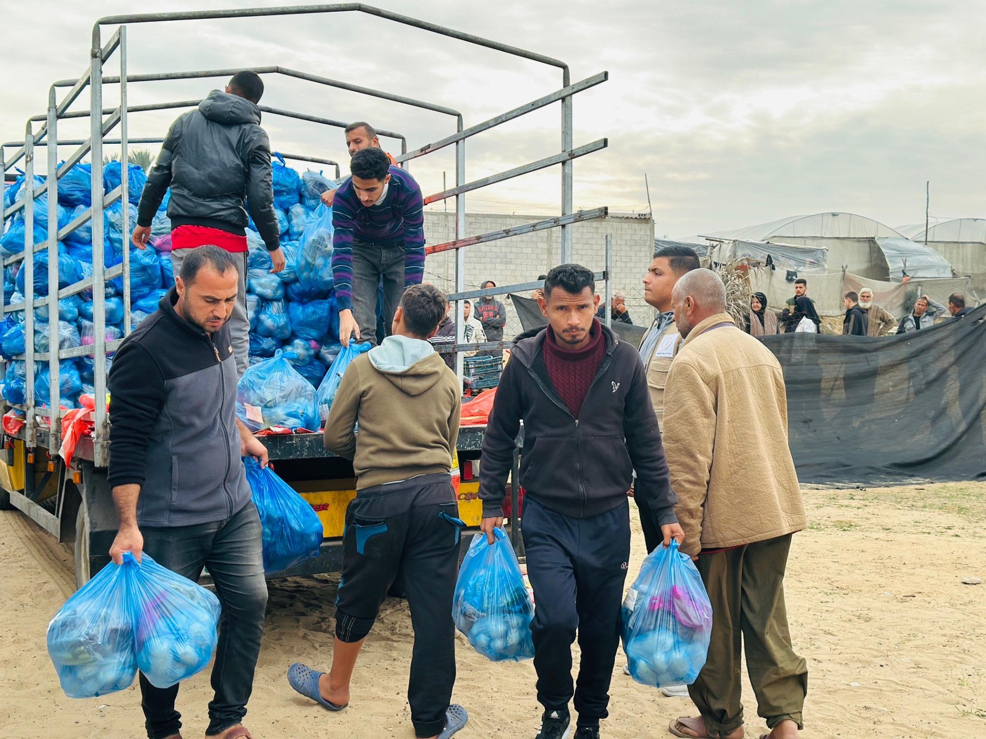 なぜ続くの？ガザ人道危機の背景を知るコンテンツをご紹介します