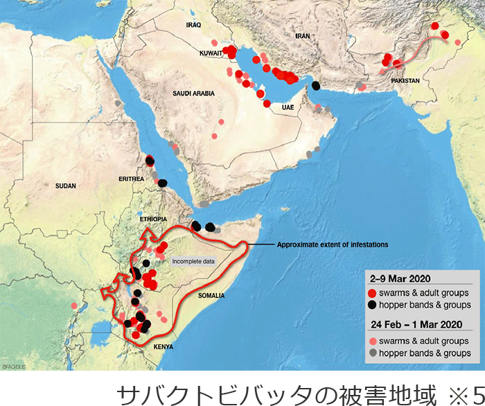 サバクトビバッタの被害地域　※5