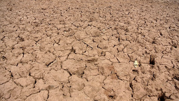 干ばつがひどい時は土地がカラカラに©JPF