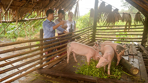 NICCOの活動のひとつ、家畜を利用したマイクロファインナンス事業 ©JPF