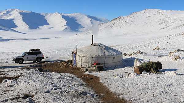 モンゴル全土を襲ったゾド（寒雪害）-50℃まで下がることも©SCJ