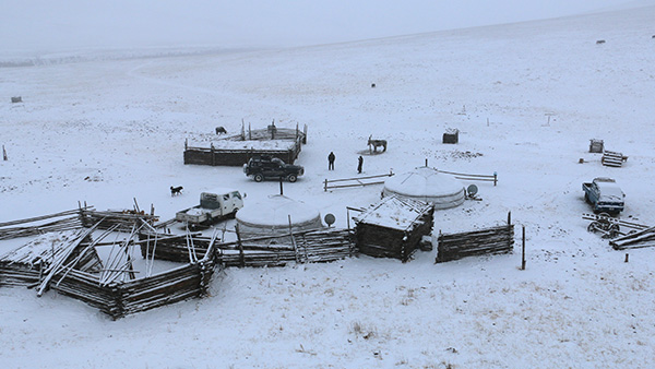 伝統的な遊牧民冬季キャンプの様子 ©SCJ