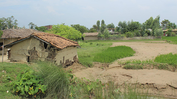 土砂を被ってしまった田んぼ(ネパールNawalparasi郡) ©ADRA