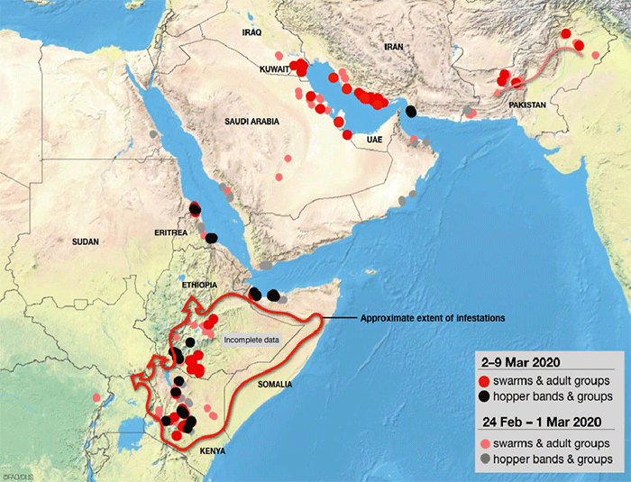 Desert Locust Infestation Map