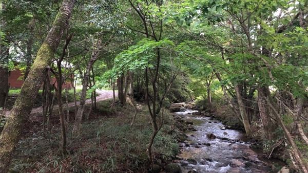 東日本大震災被災者支援