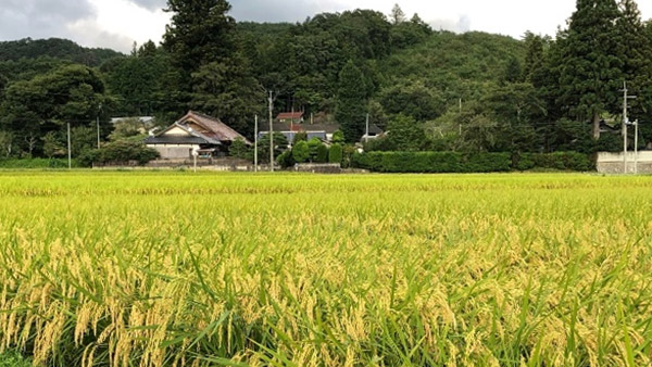 東日本大震災被災者支援