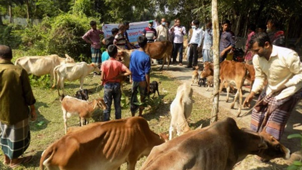 ワクチン接種キャンプに集まった住民と家畜の様子 ©SN