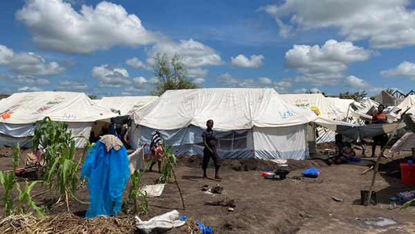 小学校敷地内に建てられた避難用テント（初動調査時に撮影）©PWJ
