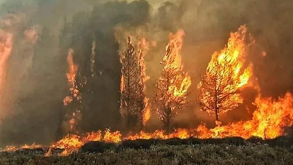 寺町 火事 市 鹿沼 【火事】栃木県鹿沼市蓬莱町付近で火事発生！「蓬莱町で建物火災らしい！」