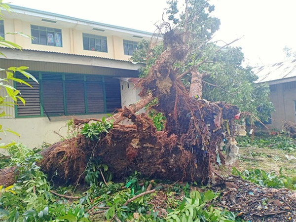 Schools in Cebu Island affected by the disaster ©SEEDS
