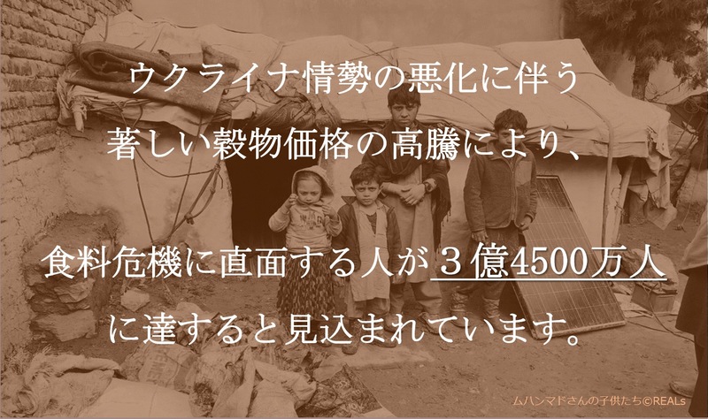 ウクライナ情勢の悪化に伴う著しい穀物価格の高騰により、食料危機に直面する人が3億4500万人に達すると見込まれています。