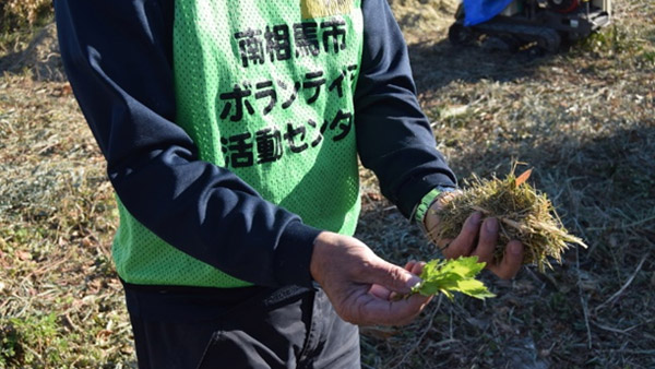 牛のエサ用と暖房のペレット用の見本