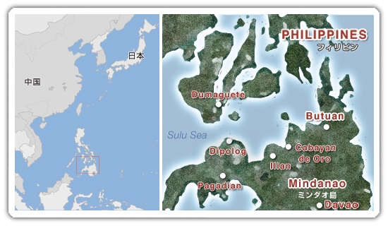 mindao_tai.jpg